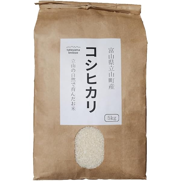 コシヒカリ10kg 　令和５年産　2024年8月下旬精米 コシヒカリ 【予約】新米 米 10kg 2025年 令和7年 魚沼産 白米